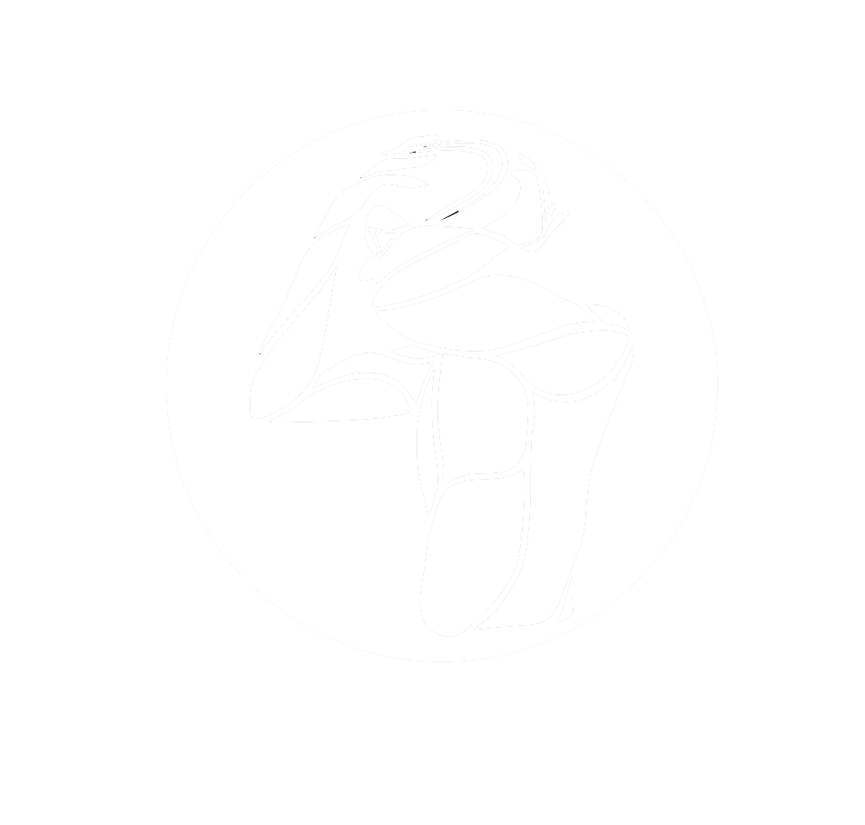 plivački klub start logo beli